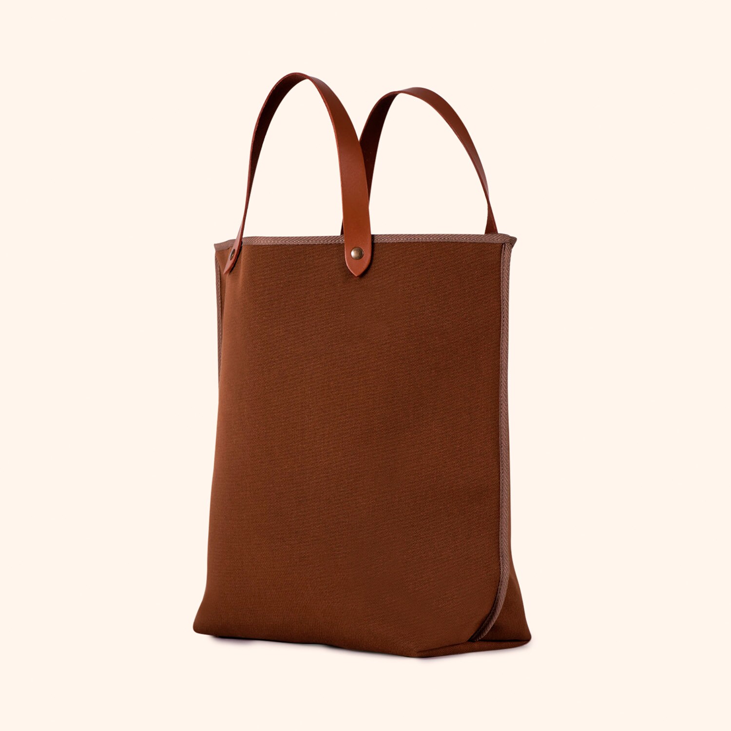 Sac Dinosaure S